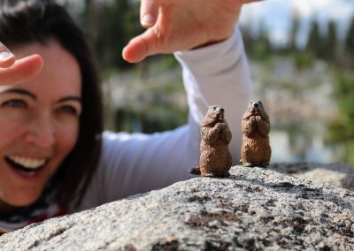 This marmot just can't stand to have competition