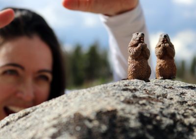 Cookie and Gertie are under attack as wild marmots are everywhere