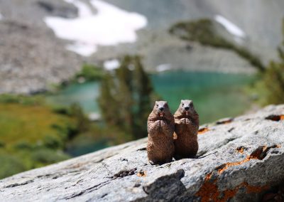 Cookie and Gertie at Barney Lake