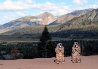 Cookie and Gertie are excited about the southeastern view of the Sherwins and White Mountains beyond