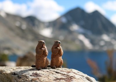 Cookie and Gertie with Duck and Pika Lakes in the distance