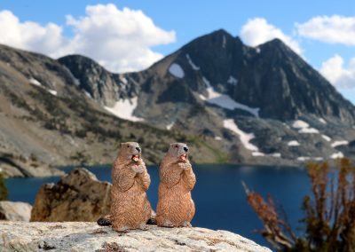 Cookie and Gertie marvel at late season snow
