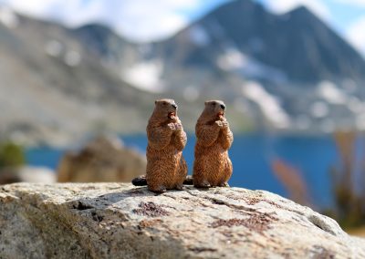 Cookie and Gertie at Duk Lake