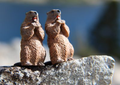Cookie and Gertie at Duck Lake