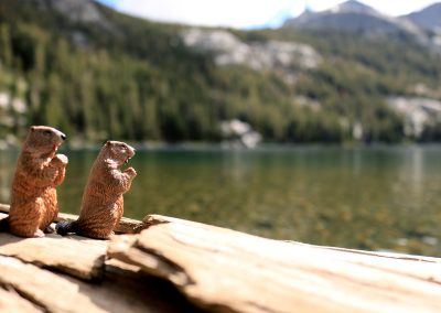 Cookie and Gertie watch the fish boil like crazy at Shadow lake