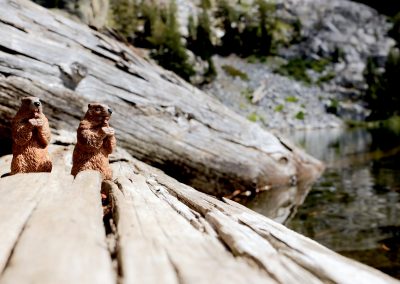 Cookie and Gertie soak up the afternoon sun at Shadow lake