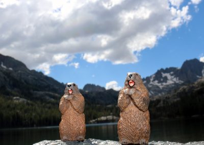Cookie and Gertie bask in mid-day sun from their sitting rock at the far end of Shadow lake