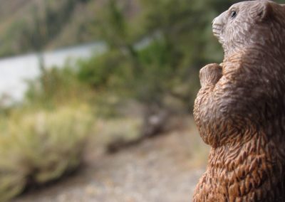 Cookie enjoys the view from the Muir Wilderness sign