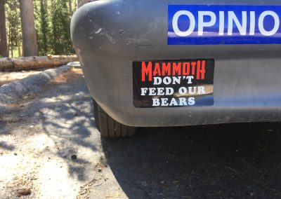 Don't Feed the Bears!