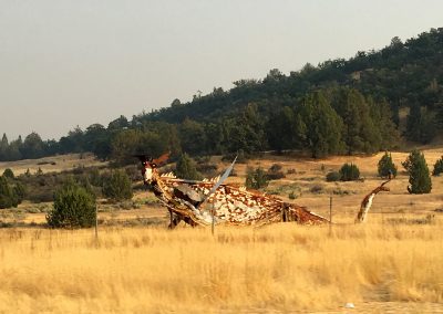 Metal dragon near CA/OR border