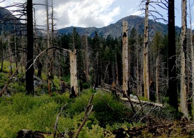 The east side of the mountain loses its shade but gains and amazing east-southeast view