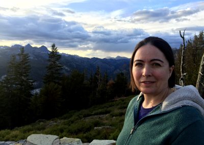 Marmot 01 in twilight viewing the Minarets
