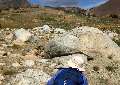 Qwiet, I'm hunting marmots!