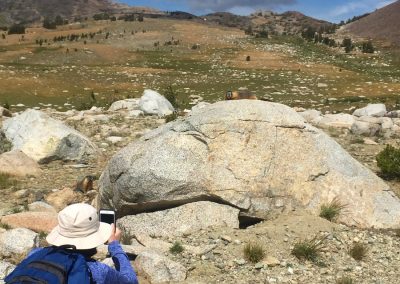 Tossing carrots and jicama to marmot