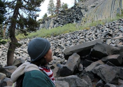 Marmot considers scaling the rocks