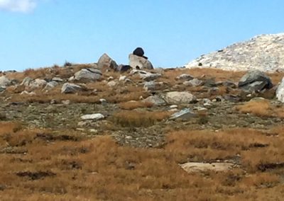 What is that on the horizon?