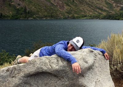 Marmot on a hot rock