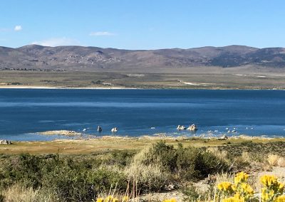 Tufas sticking out of Mono Lake