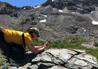 Photographing Cookie and Gertie