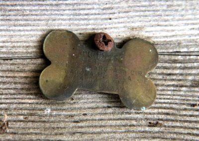 Puddles' dog tag under the bridge crossing the Middle Fork of the San Joaquin river