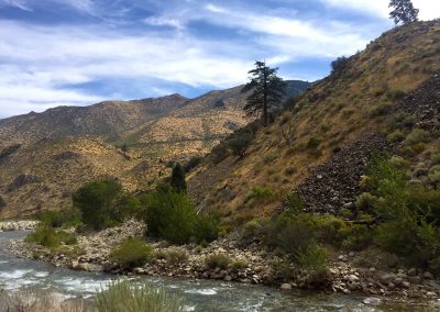 The 395 driving north towards Reno