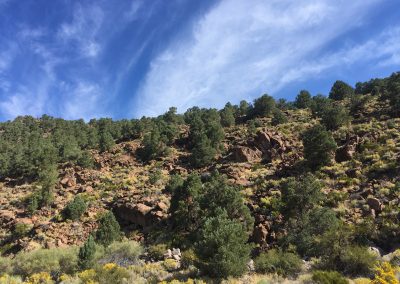 Beautiful highway 395