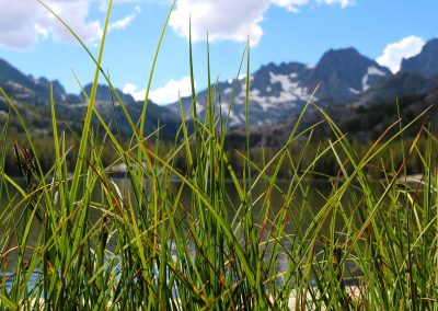 Who put all this freaking grass here? I'm trying to see the lake