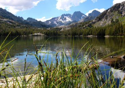 Shadow Lake through grass