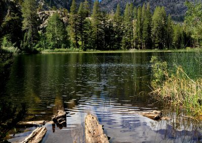 Shallow end of Shadow Lake