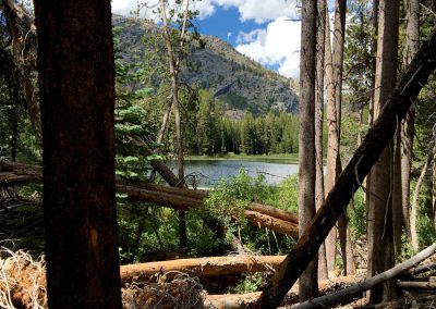 Shadow Lake through the trees