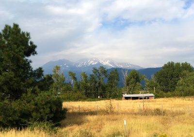 Mt Shasta on the drive home