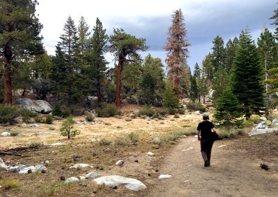 The meadow at the top of the mountain pass shows signs of fire and recovery
