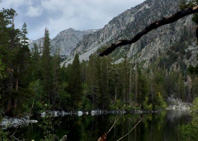 Sherwin in the clouds