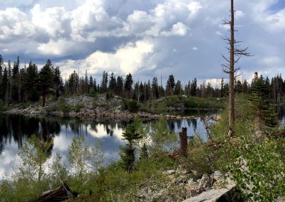 Forest fires have burned close to the lake