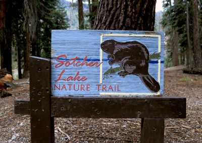 No beavers showed themselves but the fish were jumping at sunset