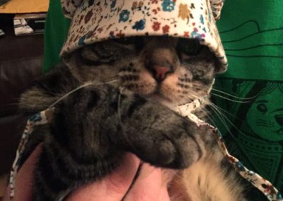 Tippi in her Be-Not-Proud Bonnet is pleased we have returned... doesn't she look pleased?