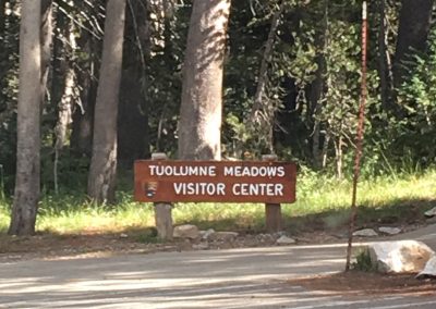 Tuolumne Meadows visitors Center where we acquire a marmot to take home